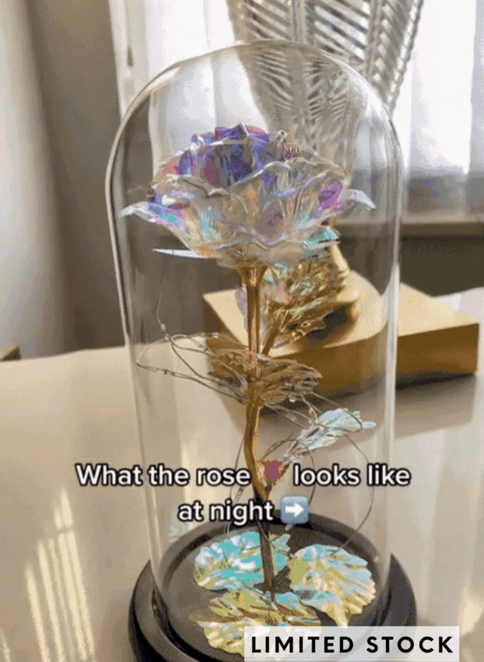 My Lasting Bouquet™️ Galaxy LED Rose Dome