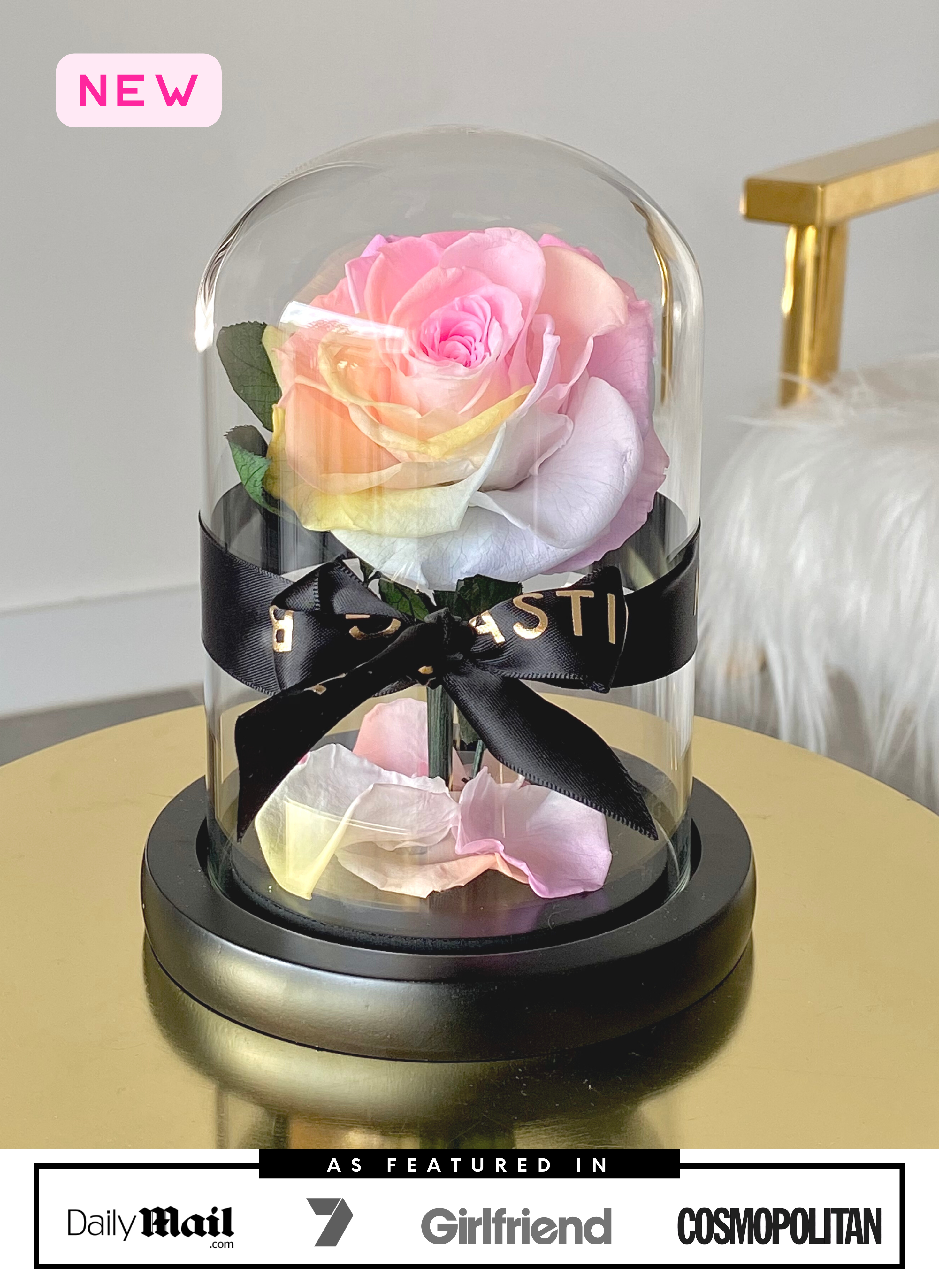 Rainbow Mini Rose Dome