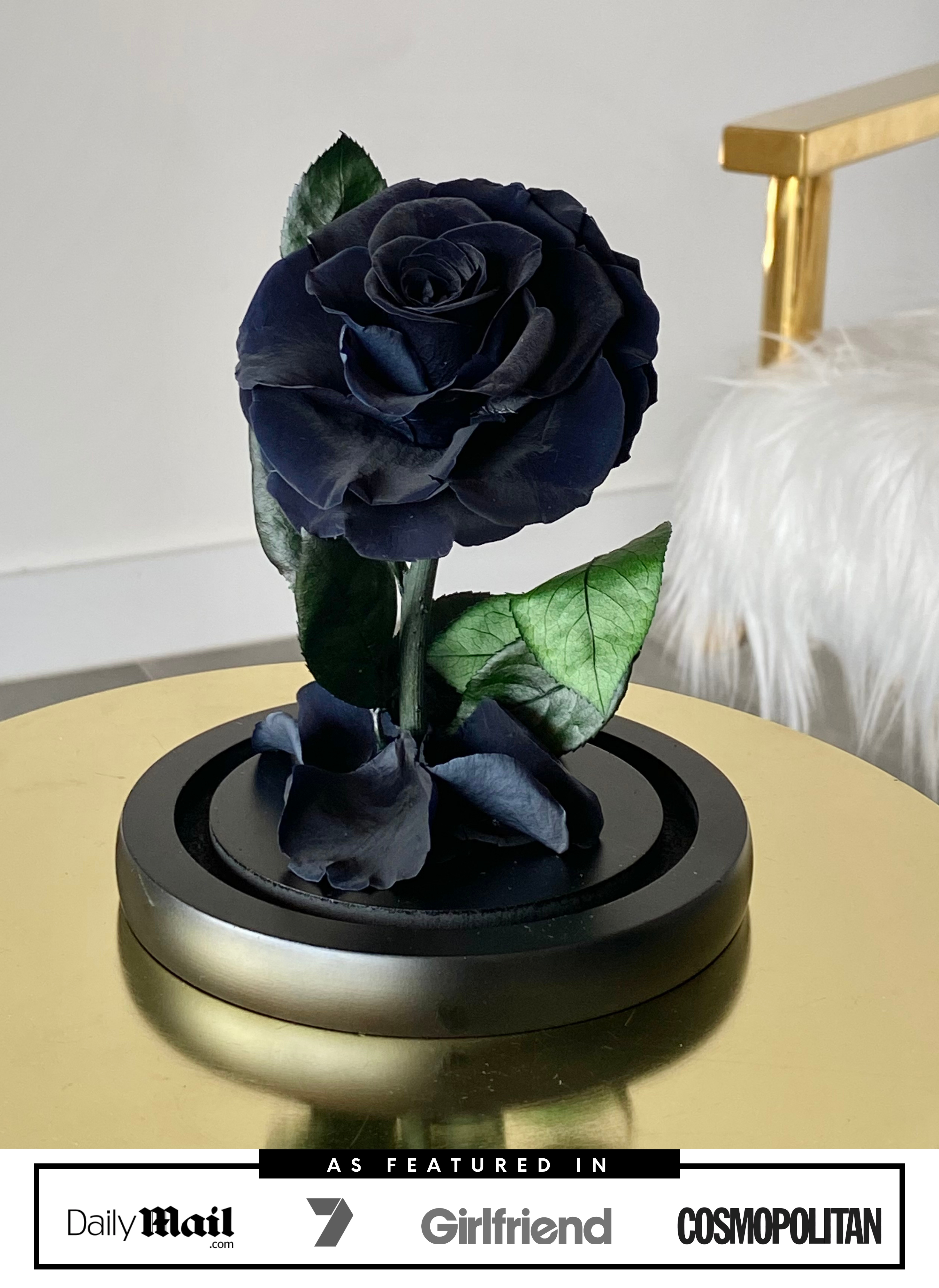Black Mini Rose Dome