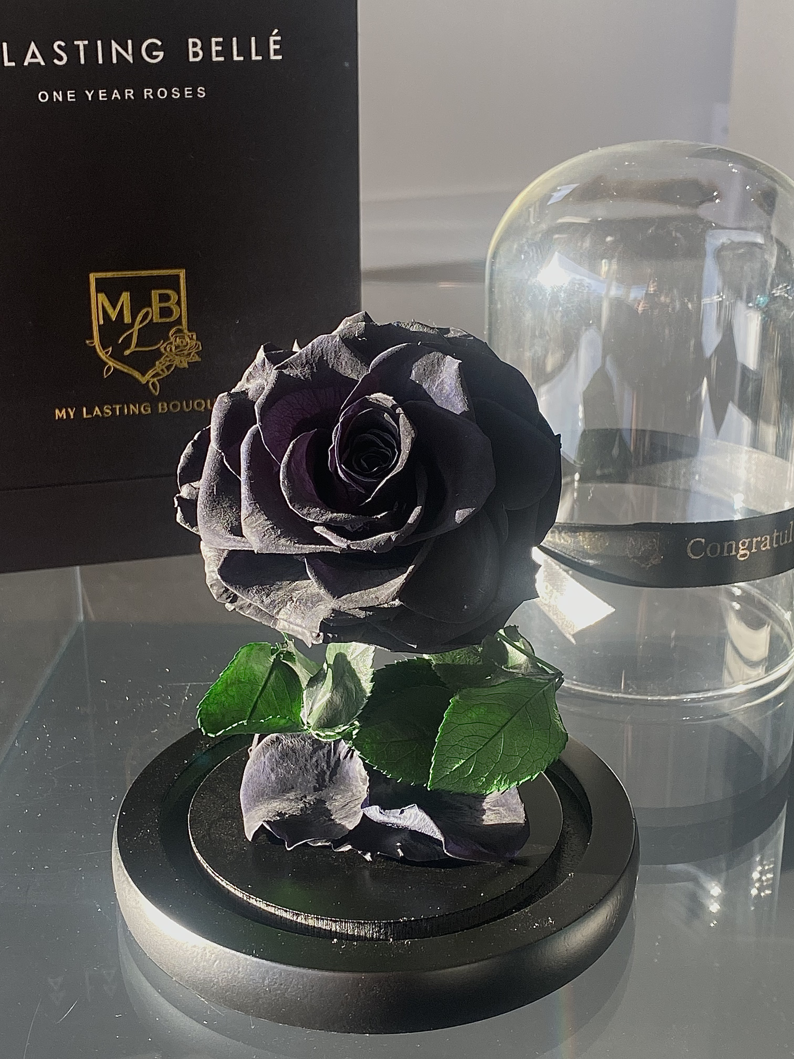 Black Mini Rose Dome - My Lasting Bouquet