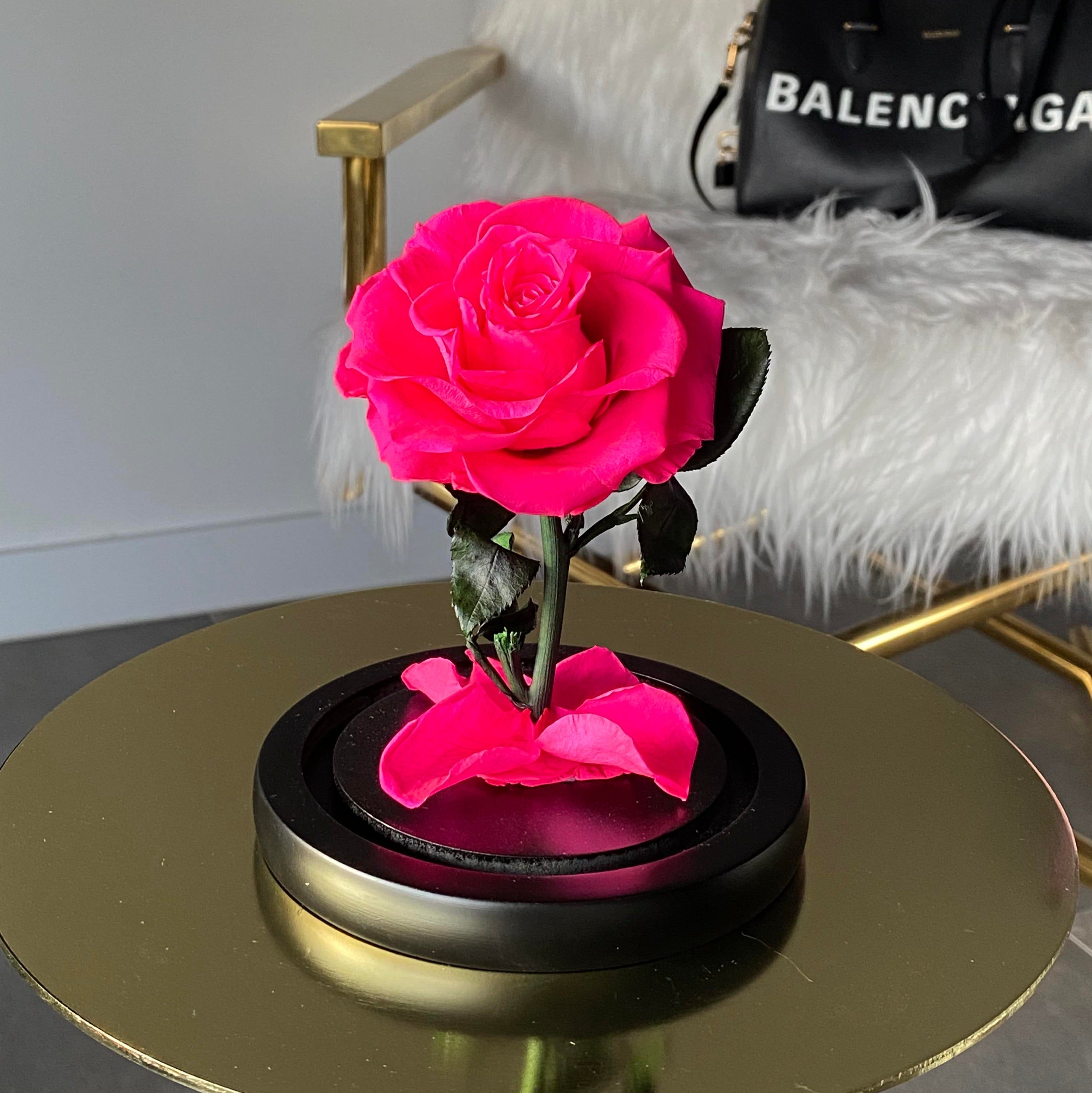 Hot Pink Mini Rose Dome - My Lasting Bouquet