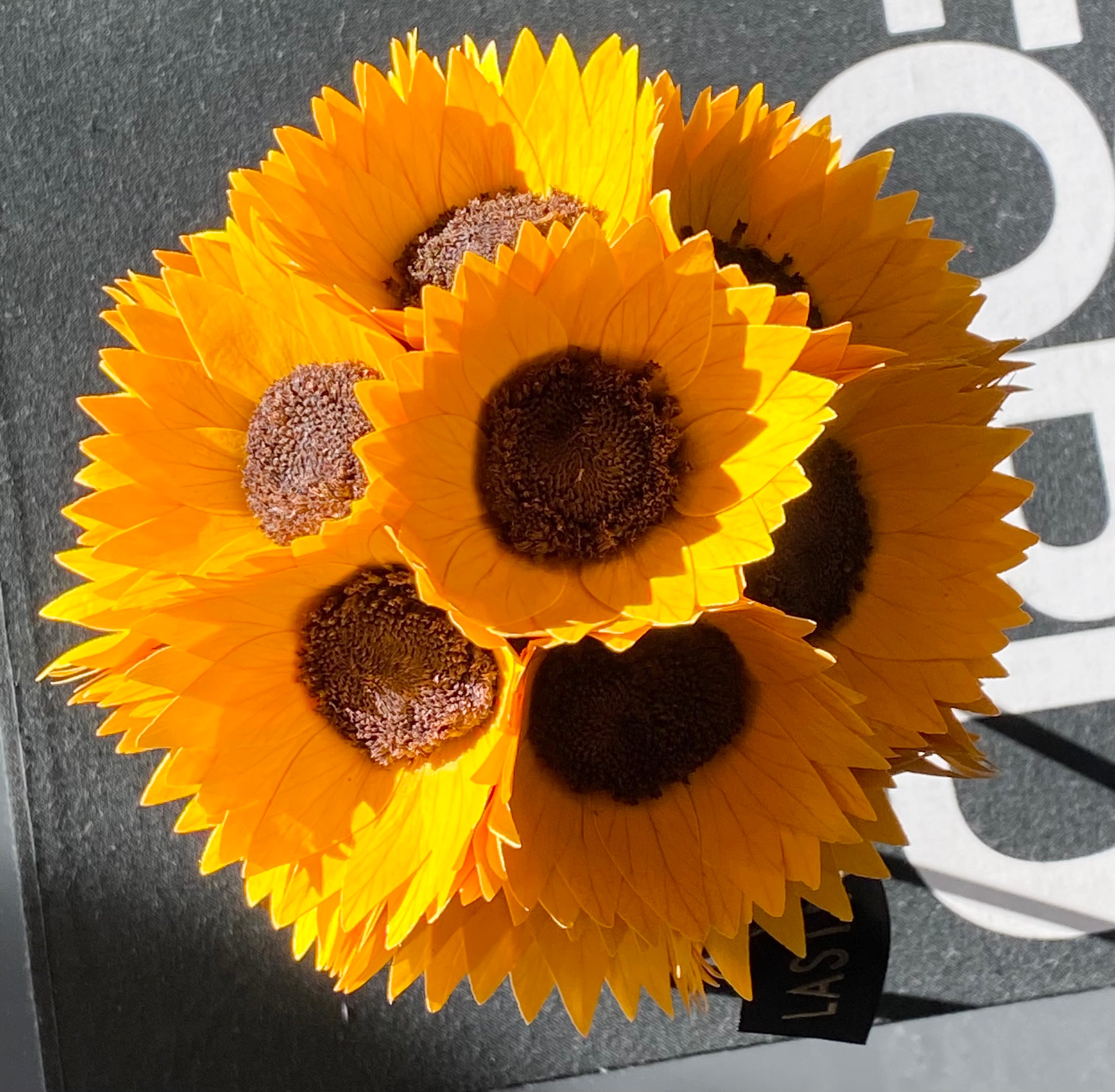 A Lasting Sunflower Ceramique - My Lasting Bouquet